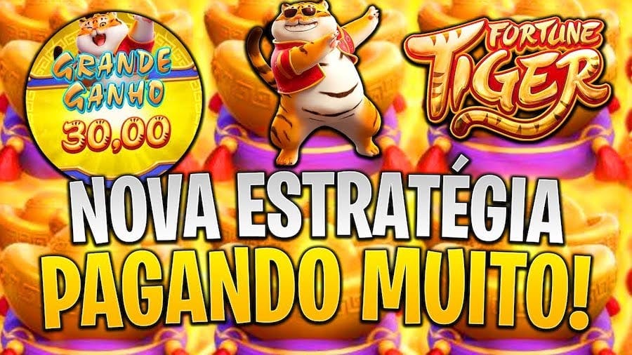 7 rabbit plataforma